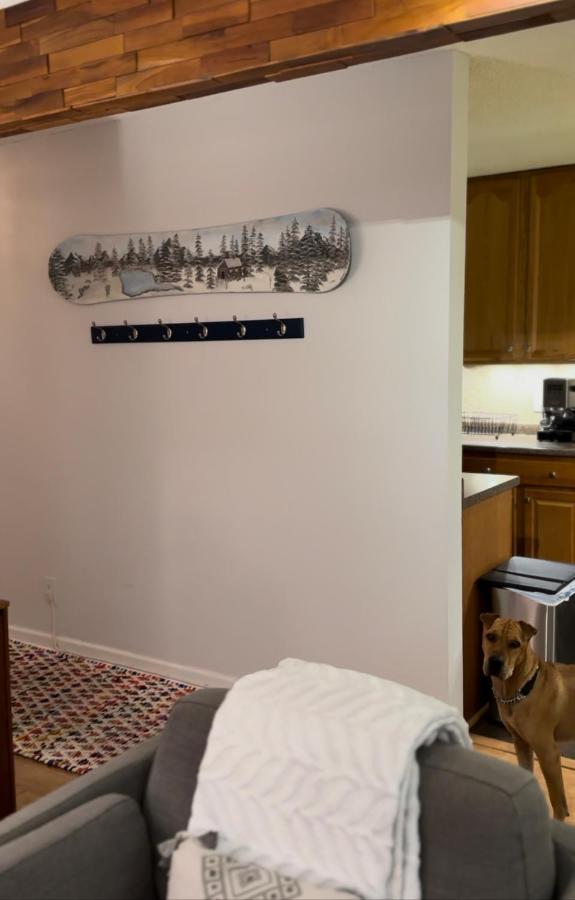 Beaver Creek 2 Bed 2 Bath Condo 1 Min Walk To Elk Lot Avon Bagian luar foto